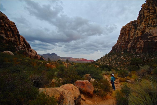 sm 5927.jpg - The beginning of Ice Box Canyon hike.